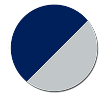 Color Palette